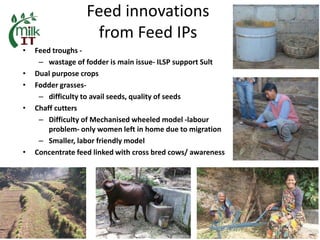 MilkIT India review and update