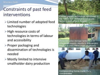 MilkIT Tanzania review and update