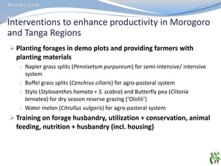 MilkIT Tanzania review and update