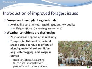 MilkIT Tanzania review and update