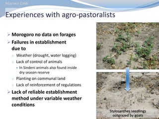 MilkIT Tanzania review and update