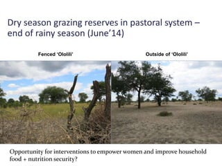 MilkIT Tanzania review and update