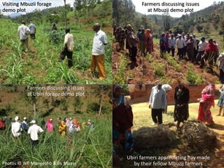 MilkIT Tanzania review and update