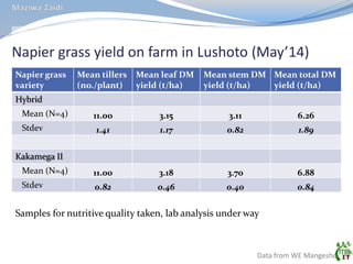 MilkIT Tanzania review and update