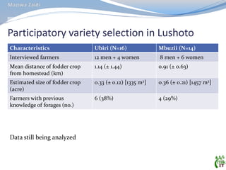 MilkIT Tanzania review and update