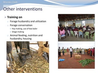 MilkIT Tanzania review and update