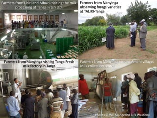 MilkIT Tanzania review and update