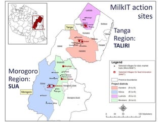 MilkIT Tanzania review and update