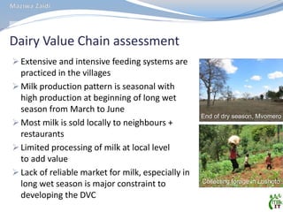 MilkIT Tanzania review and update