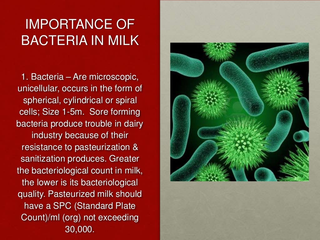 Milk Microbiology