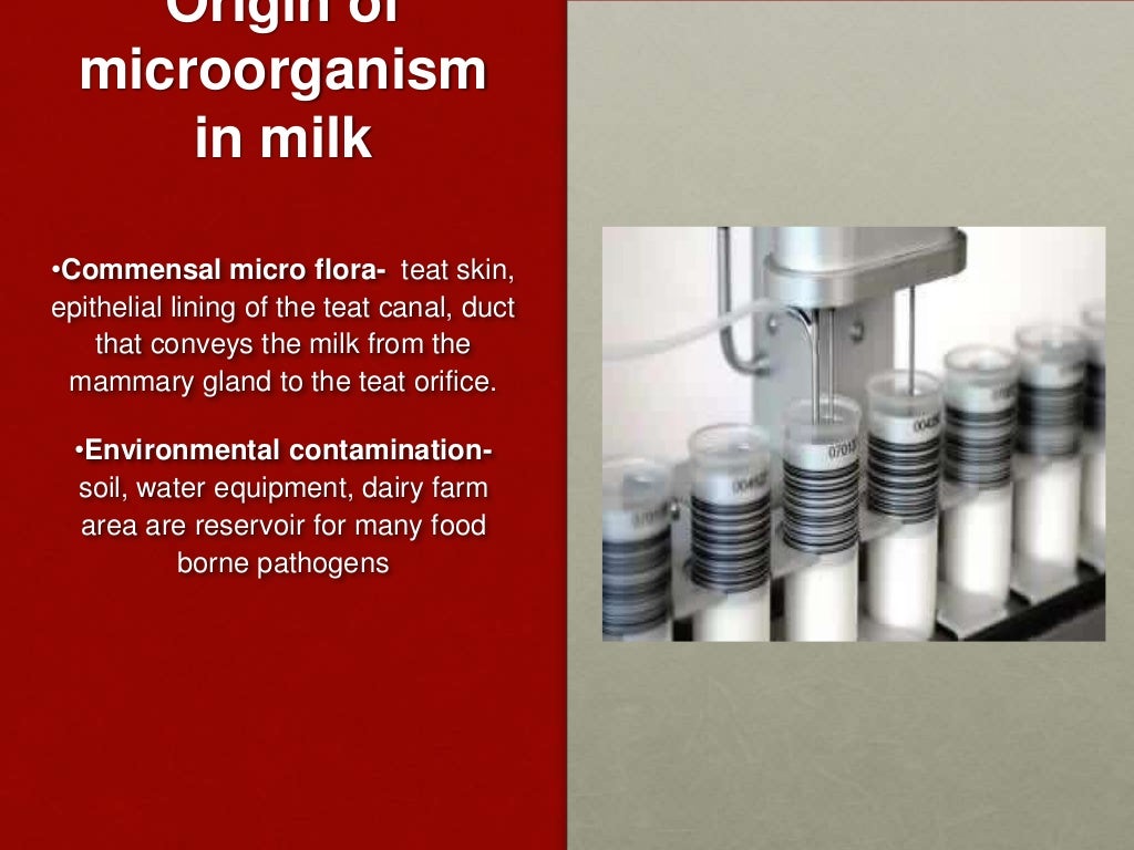 Milk Microbiology