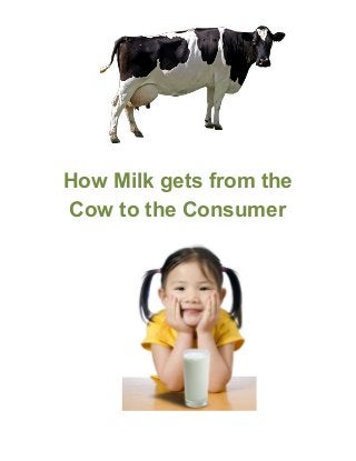 How Milk gets from the 
Cow to the Consumer 
 