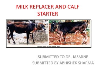 MILK REPLACER AND CALF
STARTER
SUBMITTED TO DR. JASMINE
SUBMITTED BY ABHISHEK SHARMA
 