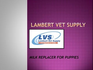 MILK REPLACER FOR PUPPIES
 