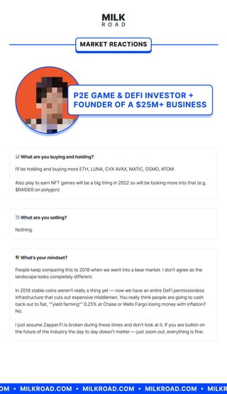 Milk Road Special Report