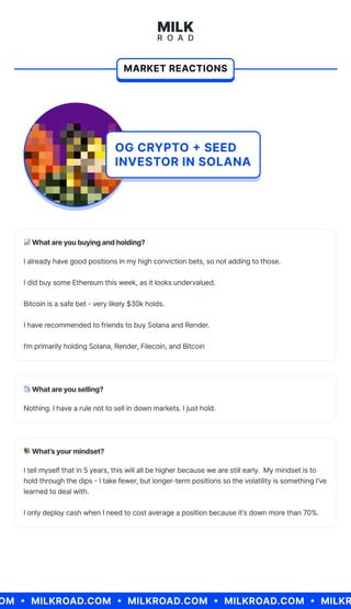 Milk Road Special Report