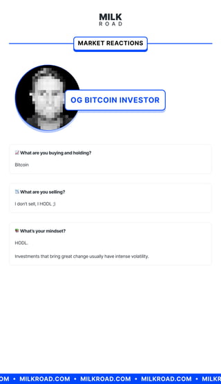 Milk Road Special Report