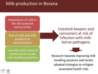 Milk production in Borana
Importance of milk in
the diet pastoral
communities
Risk of milk and milk
products to
contamination
Low education level of
communities in safe
milk handling practices
Research towards improving milk
handling practices and locally
adapted strategies to mitigate
associated health risks
Livestock keepers and
consumers at risk of
infection with milk-
borne pathogens
 