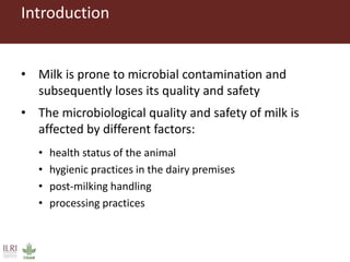 Microbiological safety of milk and processing and consumption behaviour in pastoral areas in southern Ethiopia