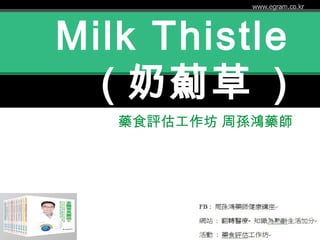 Milk Thistle
( 奶薊草 )
藥食評估工作坊 周孫鴻藥師
 