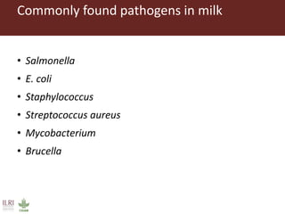 Health risk in informal milk value chain: Needs of a people-centric collective and integrated approach to address it
