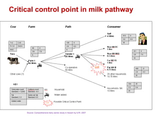 Health risk in informal milk value chain: Needs of a people-centric collective and integrated approach to address it