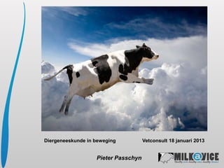 Diergeneeskunde in beweging          Vetconsult 18 januari 2013


                   Pieter Passchyn
 