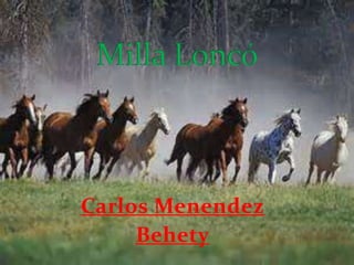 Carlos Menendez
Behety
 
