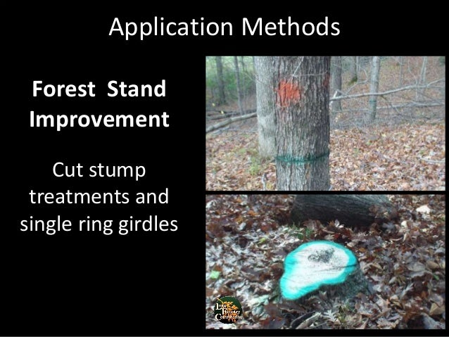 stump creek singles Home of the north carolina birding trail home news birder friendly mainstem roanoke, devil's gut, gardner creek, stump-sound-park stump sound park coastal. stump creek singles Home of the north carolina birding trail home news birder friendly mainstem roanoke, devil's gut, gardner creek, stump-sound-park stump sound park coastal.