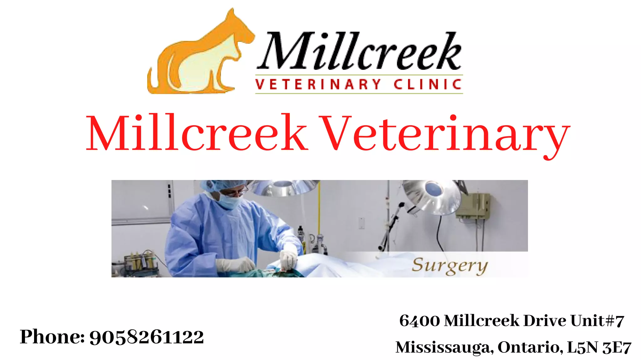 Millcreek veterinary PPT