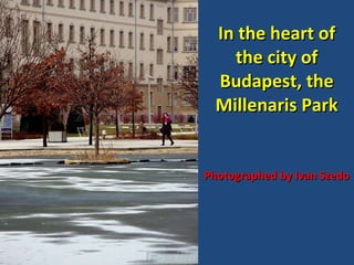 In the heart of the city of Budapest, the Millenaris Park Photographed by Ivan Szedo 