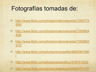 Fotografías tomadas de:
http://www.flickr.com/photos/malomalverde/7265775
590/

http://www.flickr.com/photos/malomalverde/7265804
426/
http://www.flickr.com/photos/malomalverde/7265802
372/
http://www.flickr.com/photos/tonicastillo/9650061890
/
http://www.flickr.com/photos/astarothcy/316741423/
http://www.flickr.com/photos/ansesgob/6882473147/

 