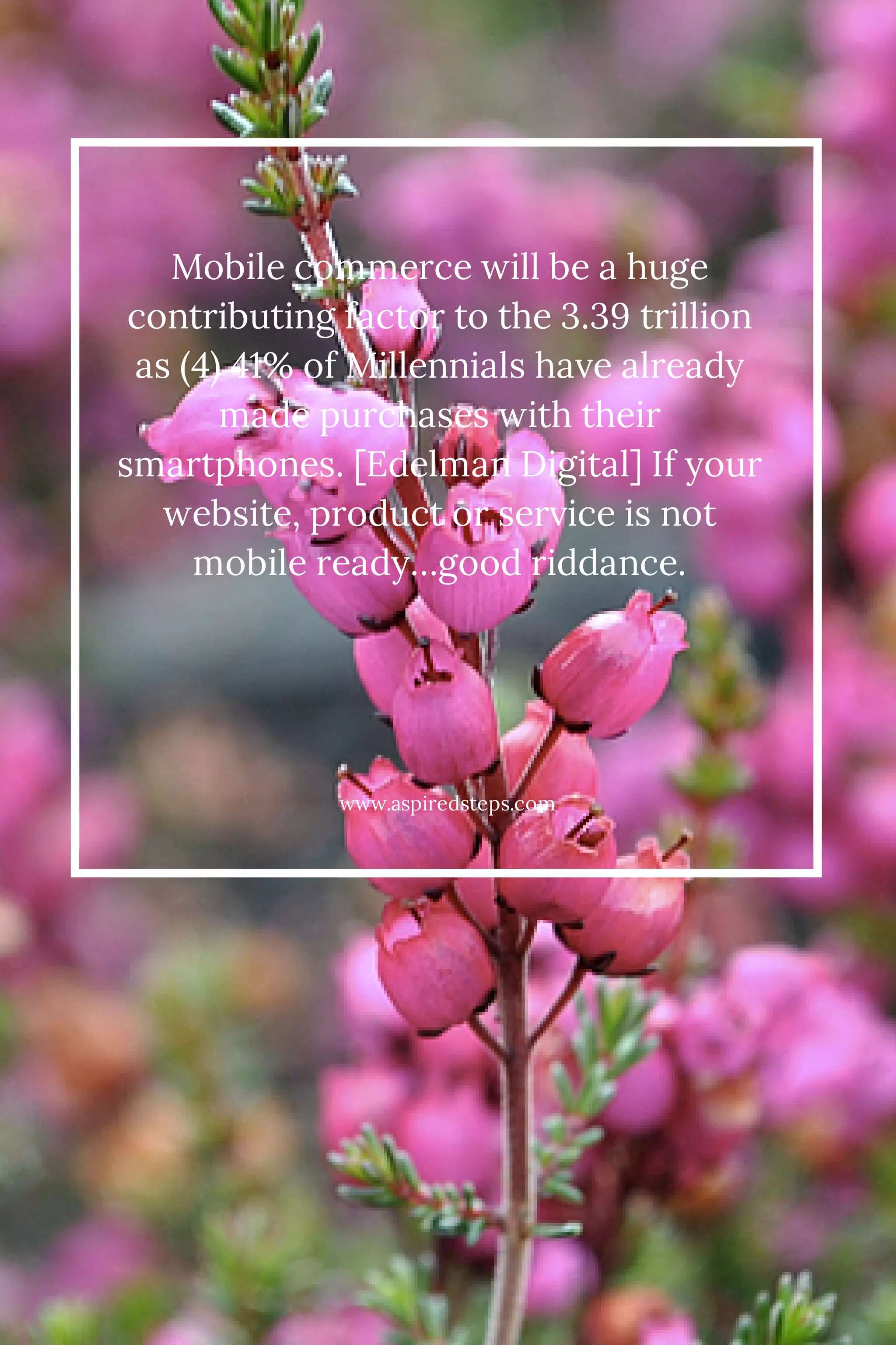 Mobile commerce will be a huge 
contributing factor to the 3.39 trillion 
as (4) 41% of Millennials have already 
made purchases with their 
smartphones. [Edelman Digital] If your 
website, product or service is not 
mobile ready…good riddance. 
www.aspiredsteps.com 
 