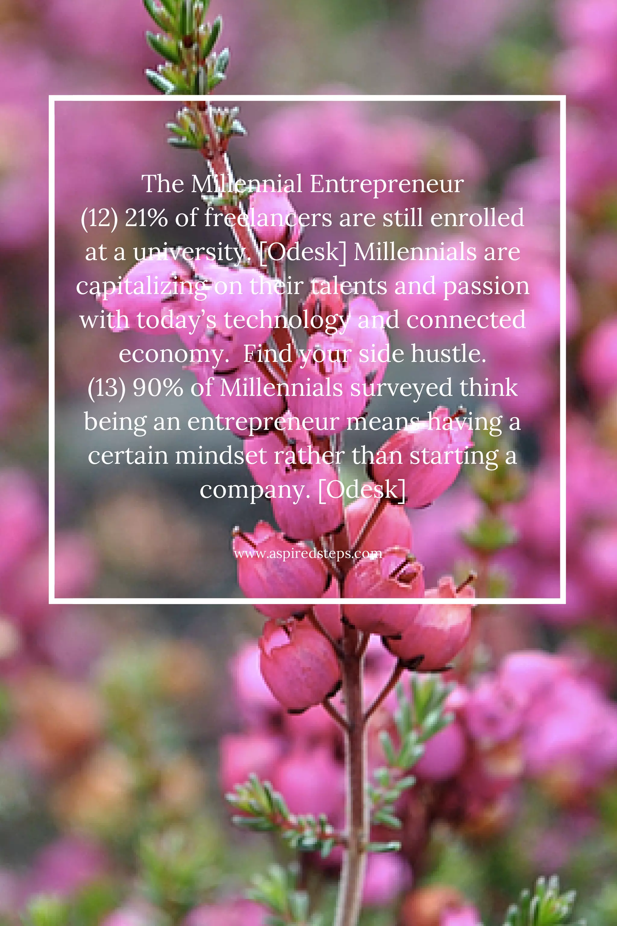 The Millennial Entrepreneur 
(12) 21% of freelancers are still enrolled 
at a university. [Odesk] Millennials are 
capitalizing on their talents and passion 
with today’s technology and connected 
economy. Find your side hustle. 
(13) 90% of Millennials surveyed think 
being an entrepreneur means having a 
certain mindset rather than starting a 
company. [Odesk] 
www.aspiredsteps.com 
 