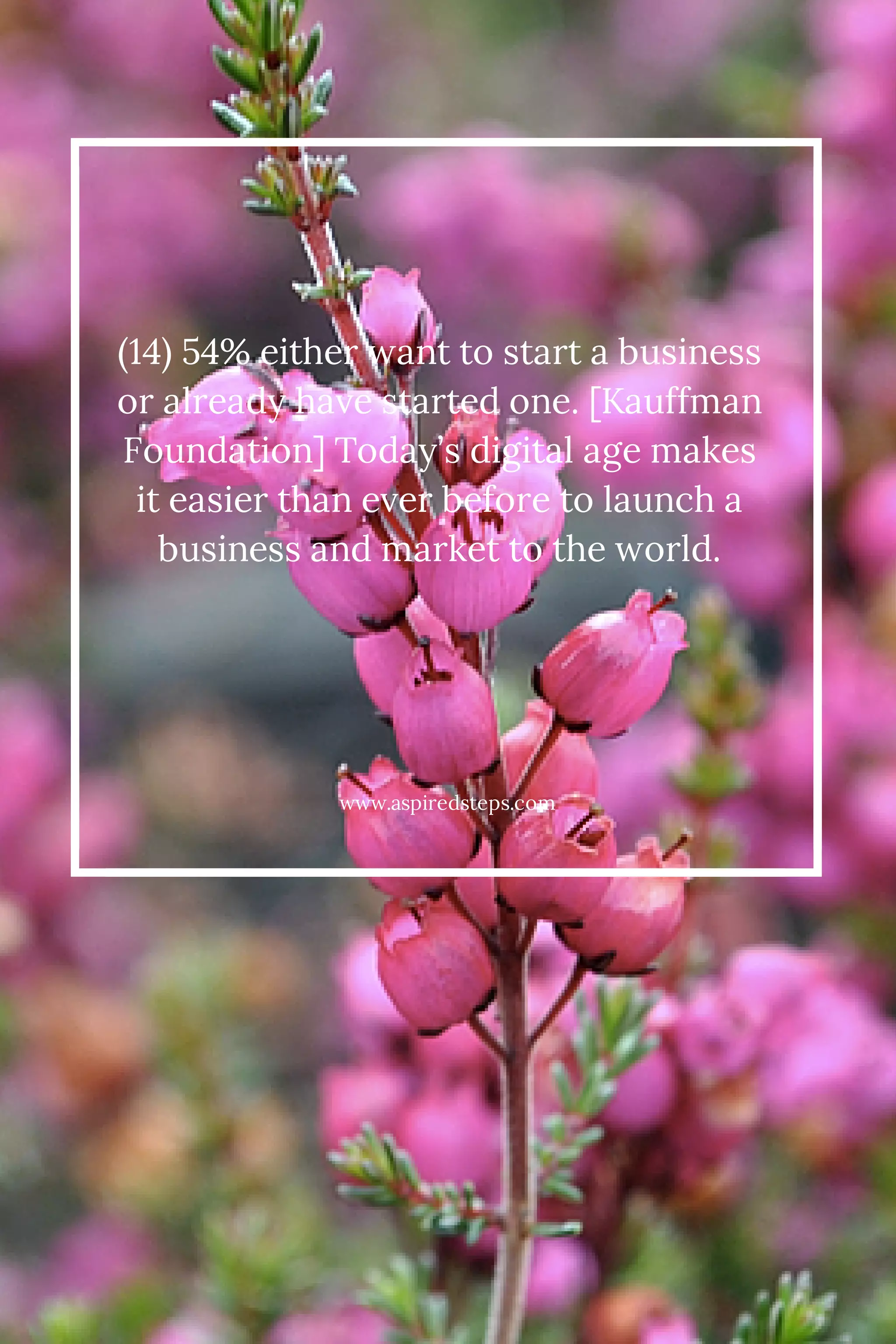 (14) 54% either want to start a business 
or already have started one. [Kauffman 
Foundation] Today’s digital age makes 
it easier than ever before to launch a 
business and market to the world. 
www.aspiredsteps.com 
 