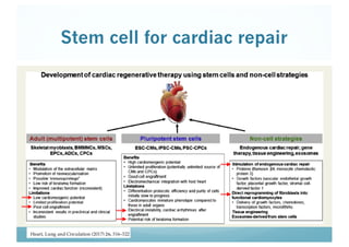 Stem cell for cardiac repair
 