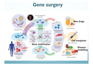 Gene surgery
Disease-
modelling
Cell tranplants
New drugs
Gene modification
 