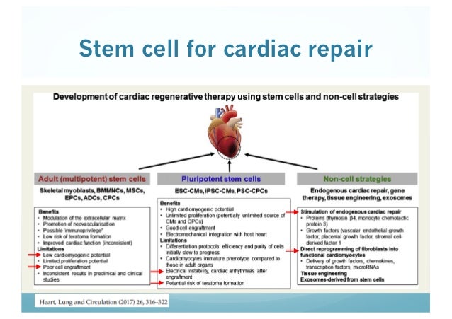 Pin By Helger On Stem Cell Tissue Engineering Stem Cells Cell