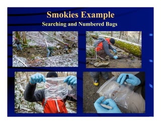 Smokies Example
Searching and Numbered Bags
 