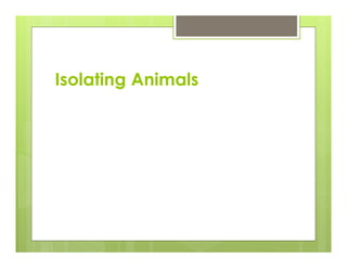 Isolating Animals
 