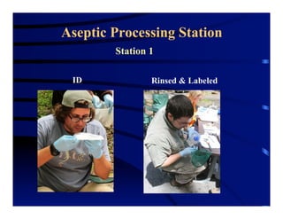 Aseptic Processing Station
Station 1
ID Rinsed & Labeled
 