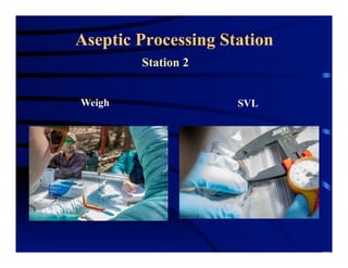 Weigh SVL
Aseptic Processing Station
Station 2
 