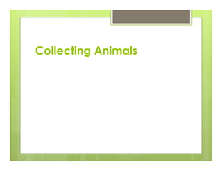 Collecting Animals
 