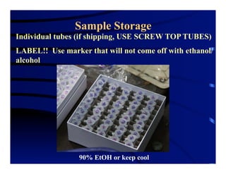 Sample Storage
Individual tubes (if shipping, USE SCREW TOP TUBES)
LABEL!! Use marker that will not come off with ethanol/
alcohol
90% EtOH or keep cool
 
