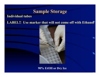 Sample Storage
Individual tubes
LABEL!! Use marker that will not come off with Ethanol
90% EtOH or Dry Ice
 
