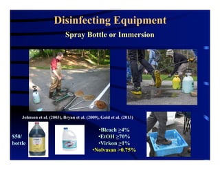 Disinfecting Equipment
Spray Bottle or Immersion
• Bleach >4%
• EtOH >70%
• Virkon >1%
• Nolvasan >0.75%
Johnson et al. (2003), Bryan et al. (2009), Gold et al. (2013)
$50/
bottle
 