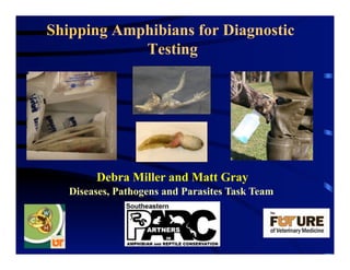 Debra Miller and Matt Gray
Diseases, Pathogens and Parasites Task Team
Shipping Amphibians for Diagnostic
Testing
 
