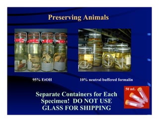 Preserving Animals
95% EtOH 10% neutral buffered formalin
Separate Containers for Each
Specimen! DO NOT USE
GLASS FOR SHIPPING
50 mL
 