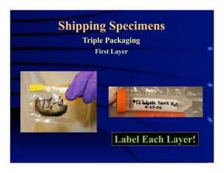 Shipping Specimens
Triple Packaging
First Layer
Label Each Layer!
 