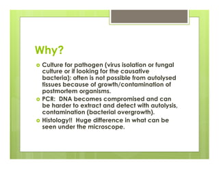 Why?
›  Culture for pathogen (virus isolation or fungal
culture or if looking for the causative
bacteria): often is not possible from autolysed
tissues because of growth/contamination of
postmortem organisms.
›  PCR: DNA becomes compromised and can
be harder to extract and detect with autolysis,
contamination (bacterial overgrowth).
›  Histology!! Huge difference in what can be
seen under the microscope.
 